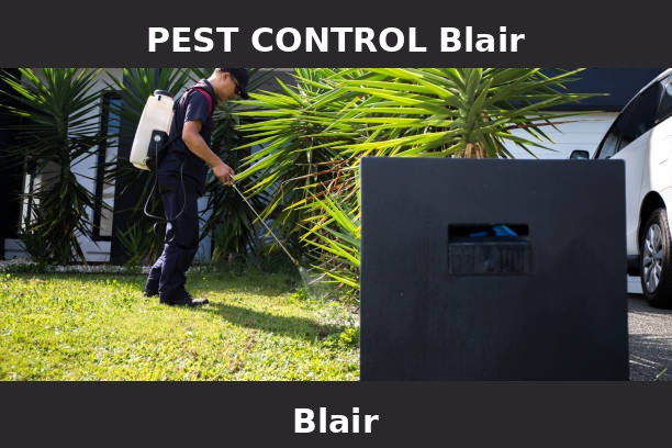 PEST CONTROL Blair
